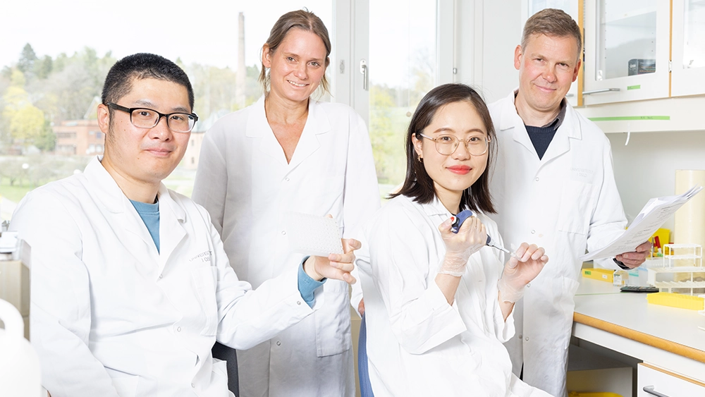 From left: Yunjie Wu, Marit Inngjerdingen (project leader), Linlin Song and J?rgen Wesche.