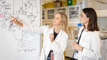 Clothing ,Handwriting ,White coat ,Whiteboard ,Gesture.