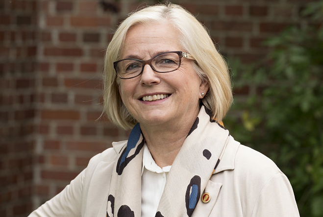 Vice Dean of Research and Researcher Education Grete Dyb