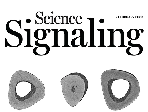 Bildet kan inneholde: font, sirkel, oval, grafikk, antall.