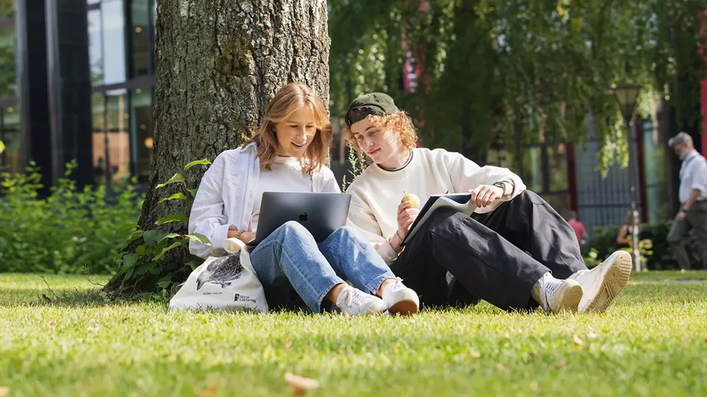 Studenter sitter p? gressplen med laptop i fanget.